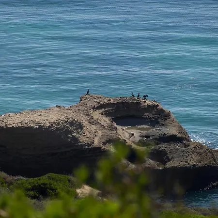 Dos Mares *
